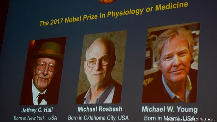 Premio Nobel de medicina 2017 para el reloj biológico
